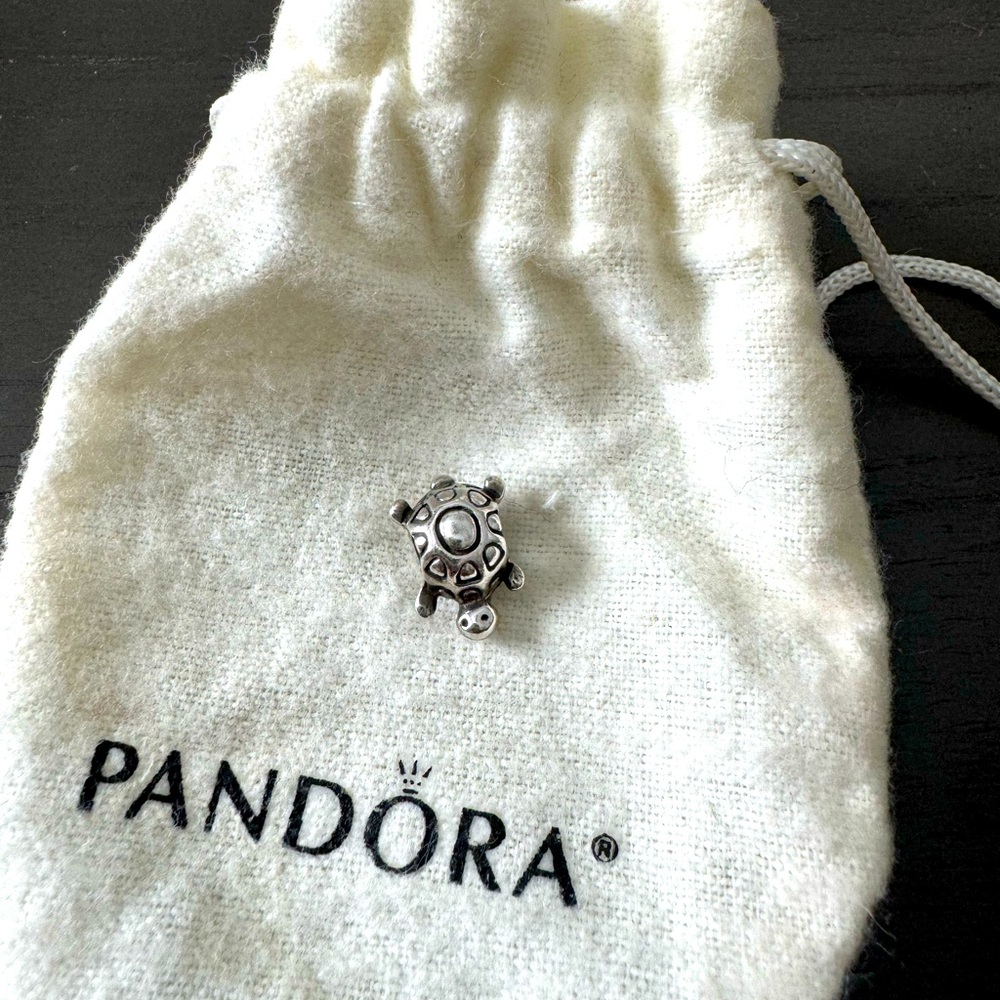 Turtle pandora charm